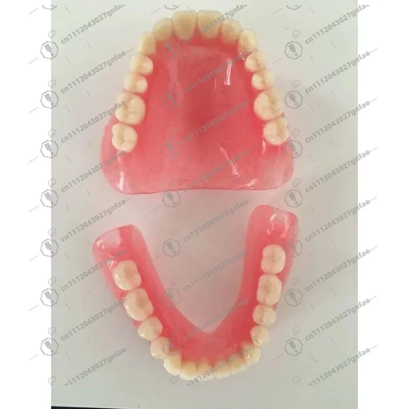 Wholesale full mouth denture sample models and elderly full mouth and half mouth tooth models are available image 3