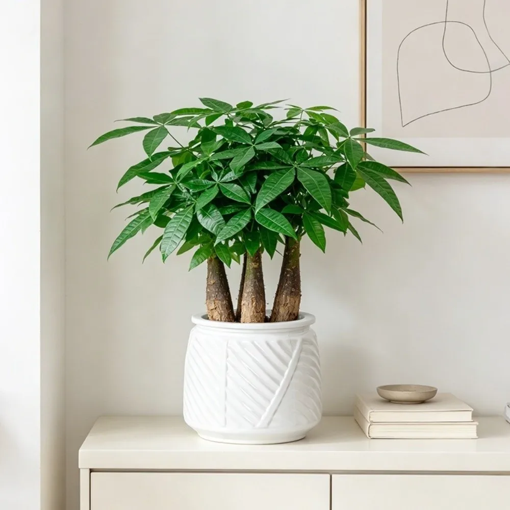 Creative Self Watering Hydroponic Plants Pot Plastic Removable Flowerpot Office Bonsai Decor