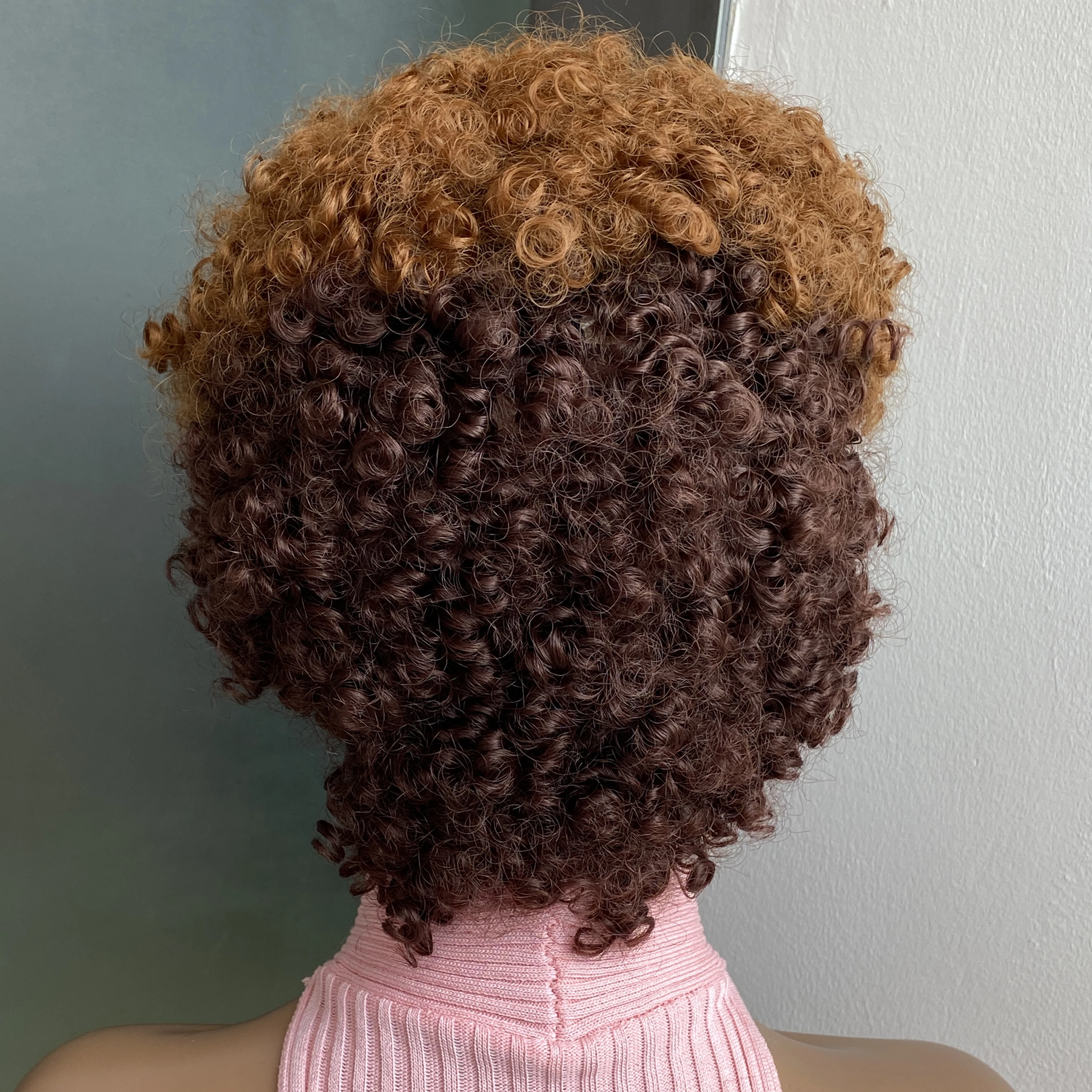 Short Curly Afro Synthetic Wig With Bangs For Women Short Kinky Afro Wigs Natural Heat Resistant Soft Curly Replacement Wig