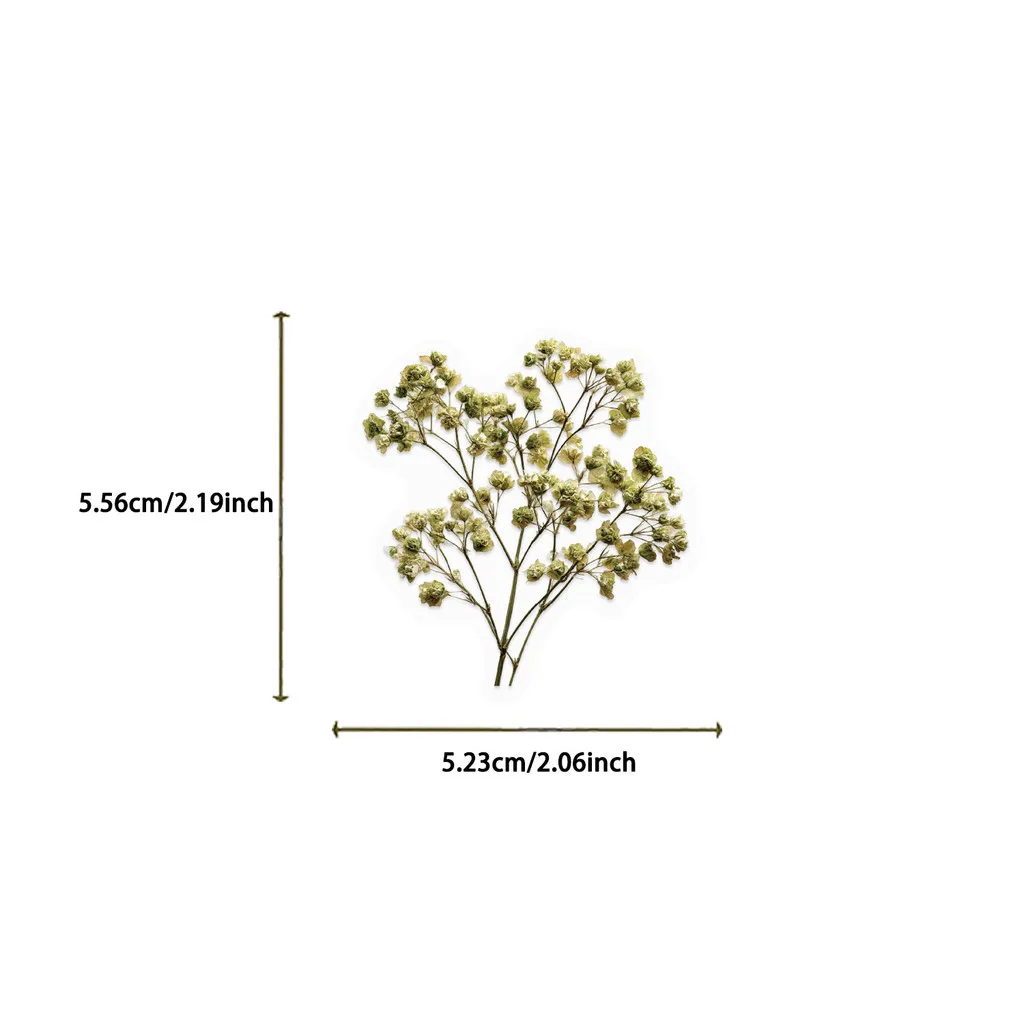 50Pcs Vintage Dried Baby's Breath Floral PET Stickers Waterproof for Phone Case Skateboard DIY Giajar Sticker Store