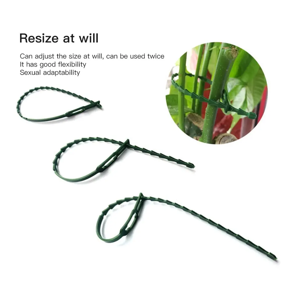 30pcs Pack of Horticultural Plastic Ties, Binding Buckles, Garden Plant Fixation, Green Tying Rope with a Length of 23cm