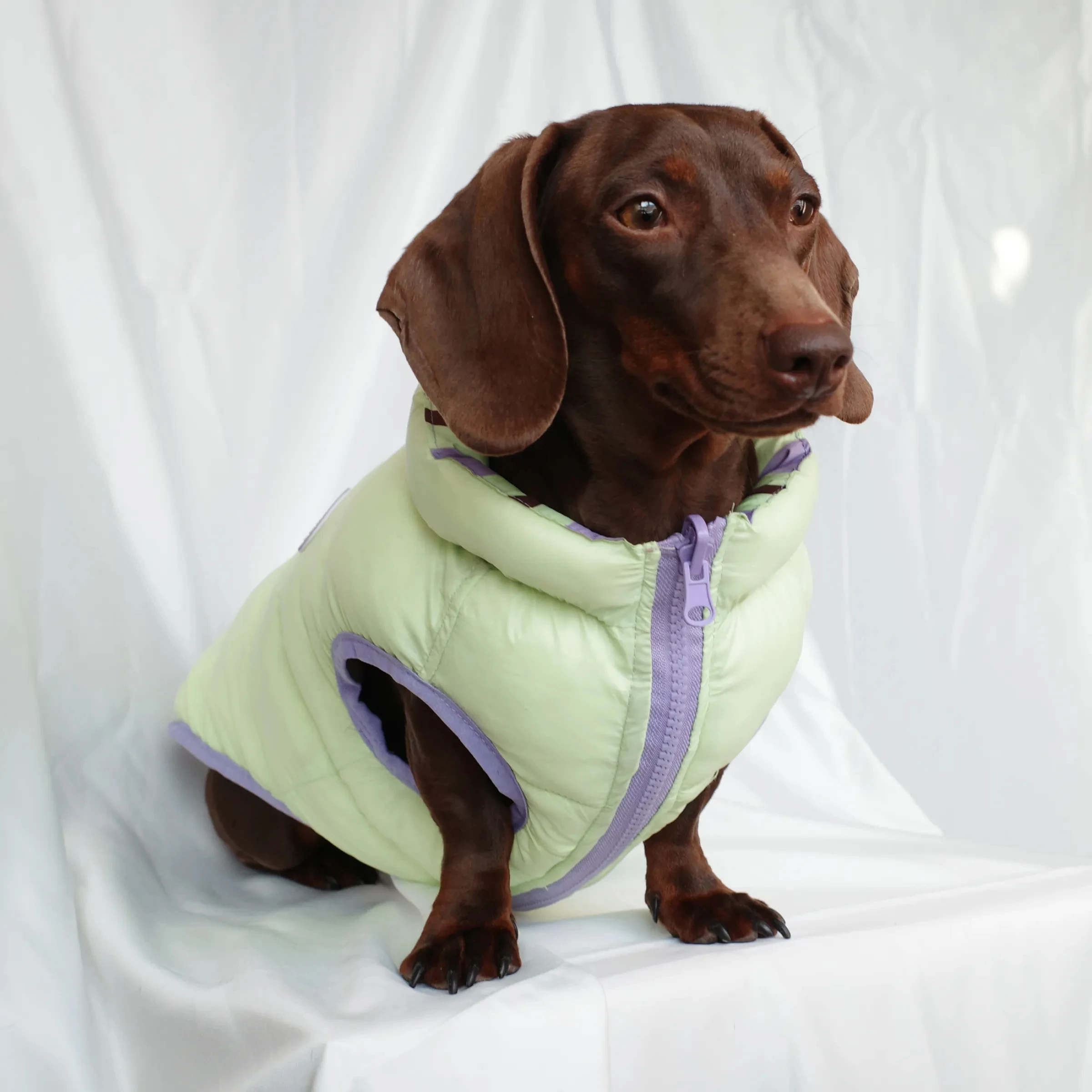 Winter-Daunenjacke für Dachshunde, dicke Weste für Wiener Hunde bei kaltem Wetter, leichter, warmer, ärmelloser Mantel für Dackelhunde – Detail 2