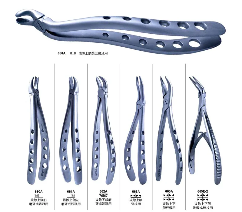 Stainless steel tooth extraction forceps, double pointed tooth forceps, root forceps