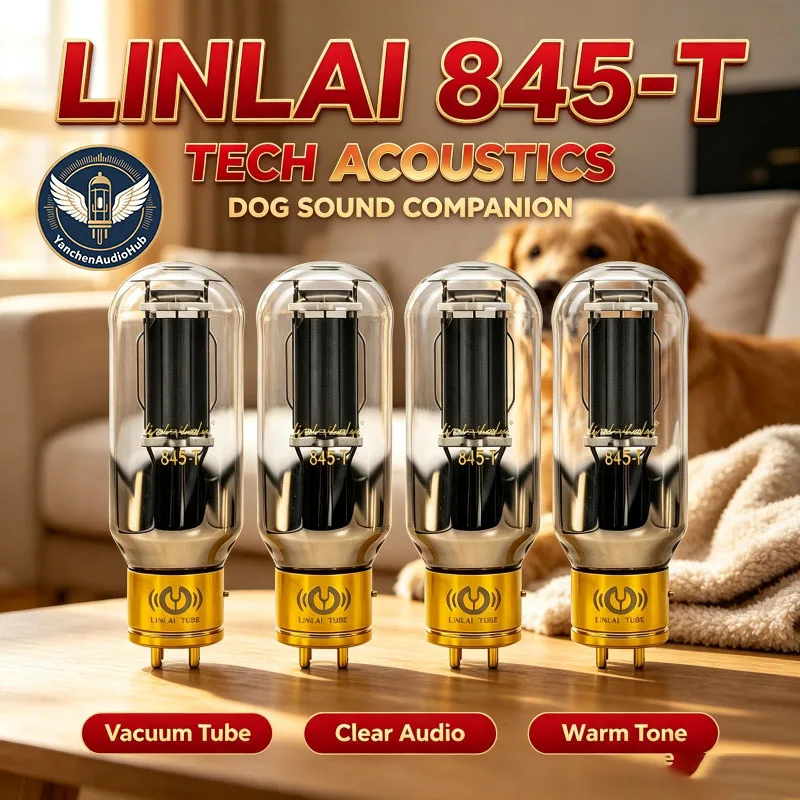 Lin Lai 2027 New 845-T Electronic Tube Generation 845 Large Diameter Glass Shell Precise