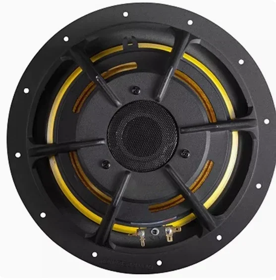 HiVi Original D10G 10 Inch Woofer Speaker 8 Ohm 300W 2 Pcs per Lot for Car Audio Subwoofer