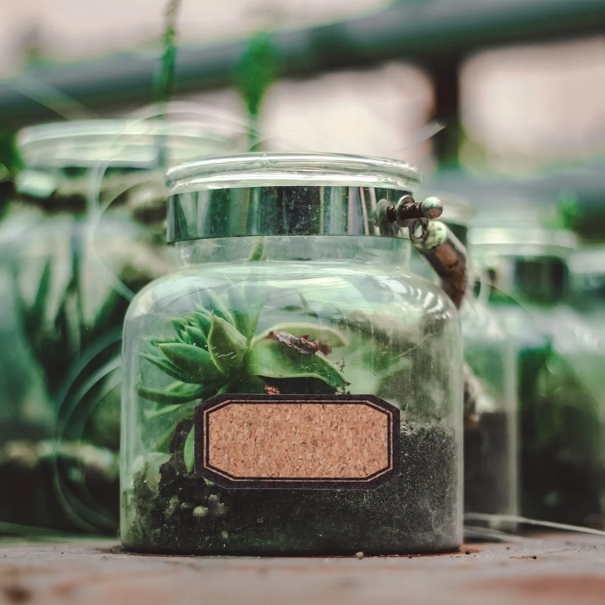 

2 шт. деревянных этикеток-наклеек, экологичные, из крафт-бумаги, пустые, самоклеящиеся, для подарков, бутылок, хранения, классификации, DIY