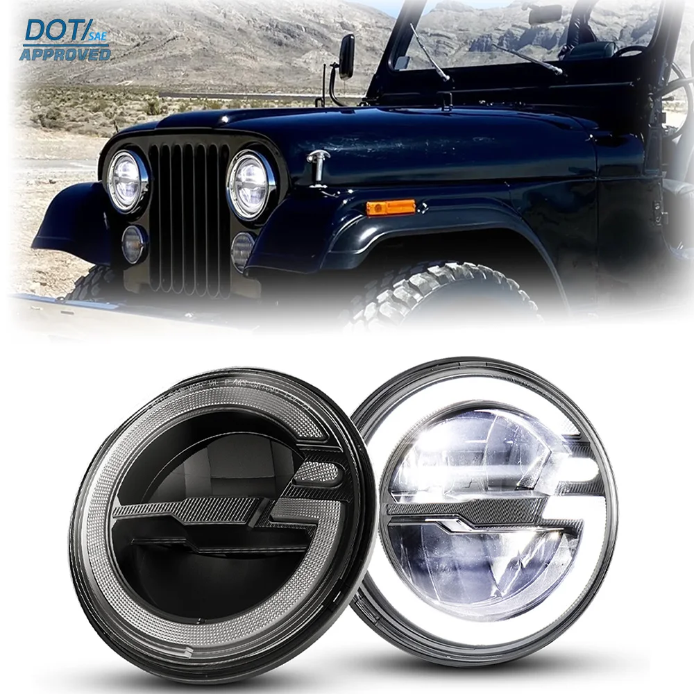 DOT 7