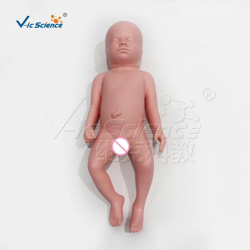 A baby model that can be passed through the pelvis