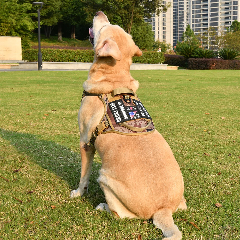 Taktisches Hundegeschirr für Hunde, Hundegeschirr mit 5 Hundeflicken, reflektierendes Haustiergeschirr, kein Ziehen, mit langlebigem, weich gepolstertem Griff – Detail 6