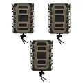 BT-3