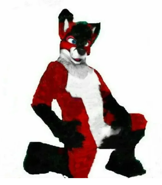 

Red Fox mascot costume custom Halloween costume