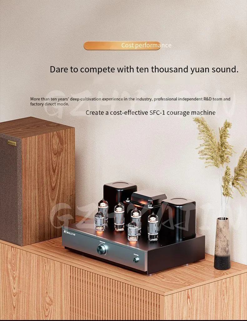 SFC-1 fever grade Bluetooth electronic tube bile amplifier amplifier HiFi pure bile push-pull vacuum tube amplifier