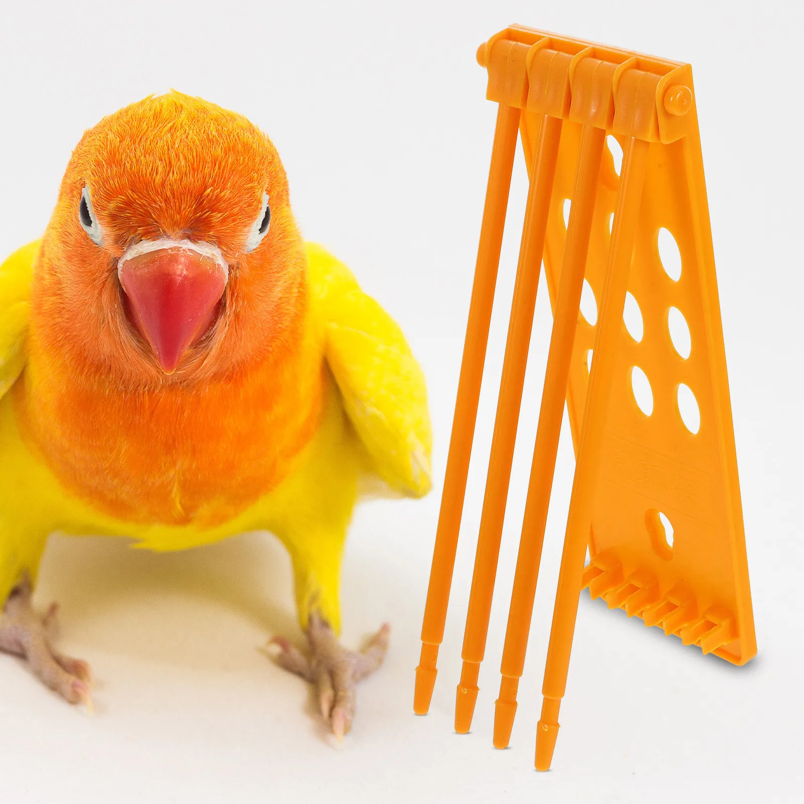 

4Pcs Pigeon Leg Ring Holder Strong Plastic Poultry Foot Band Storage Rack for Chicken Quail Dove Parrot Training Identification