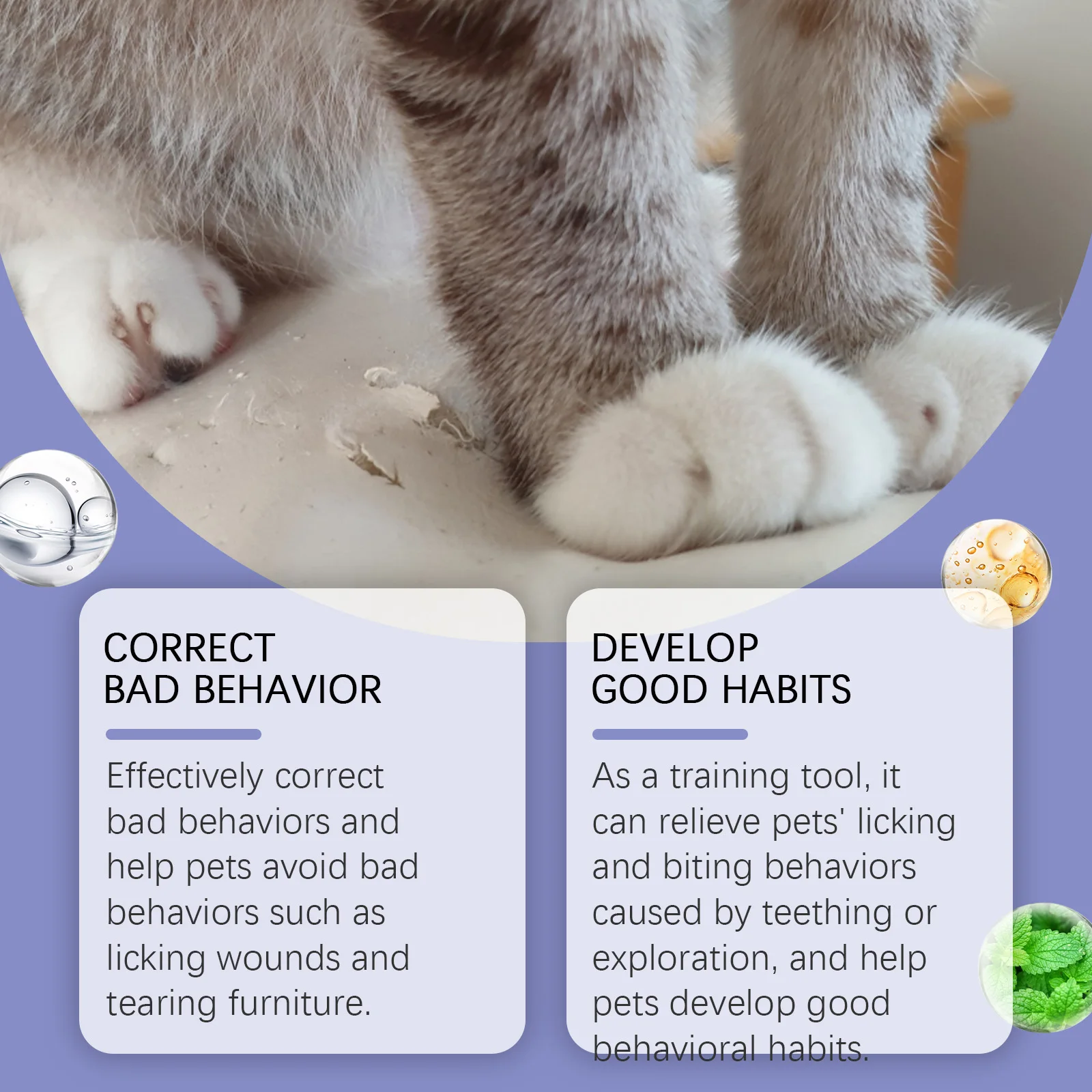 Thumbnail 3 - #5 Trending Cat Furniture Right Now