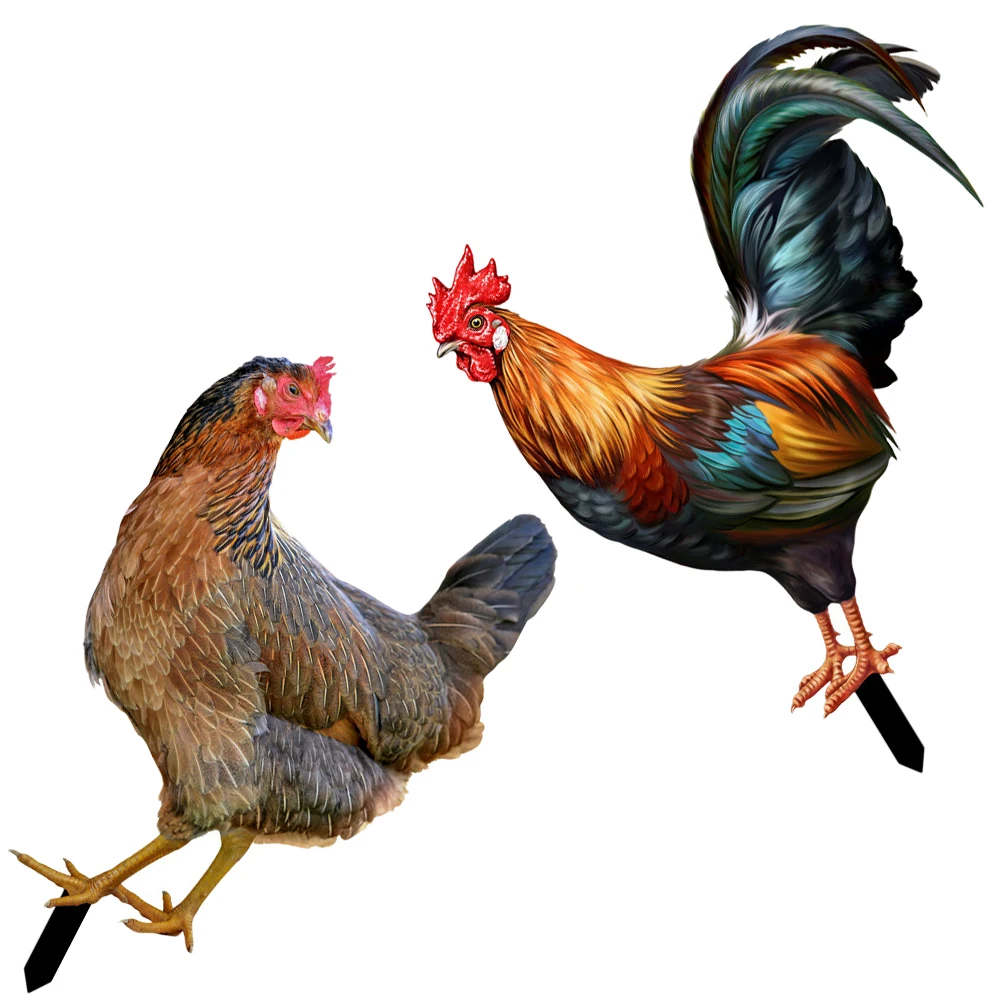 

2Pcs Decorative Garden Inserts Chicken Arts Acrylic Sign Lawn Decoration Yard nament Outdoor Courtyard Stakes Realistic Shape