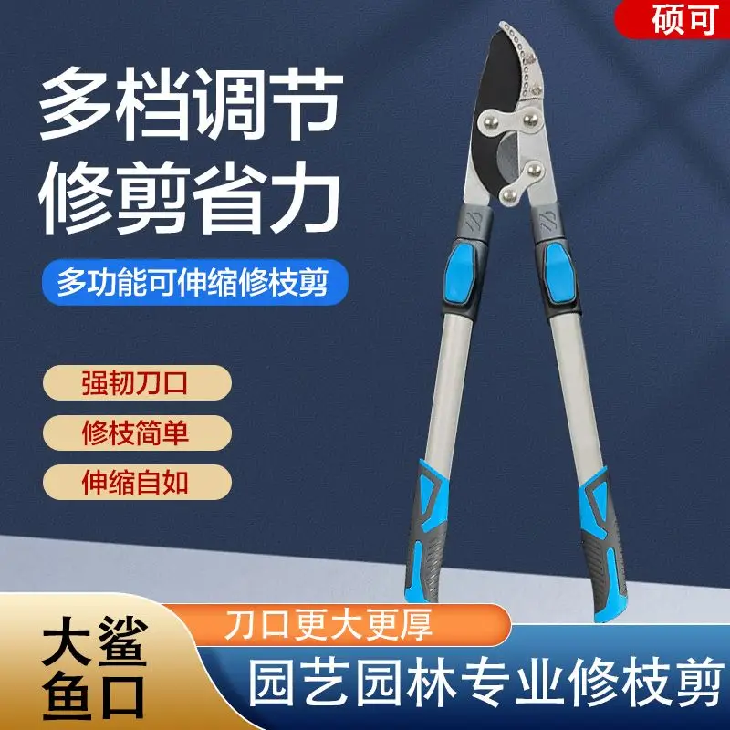 Fruit tree pruning, cutting thick branches, vigorously cutting branches, special scissors for branch extension, strong scissors
