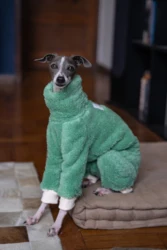 Green Christmas Italian Greyhound Clothes Soft Warm Winter Puppy Clothes Whippet Coat