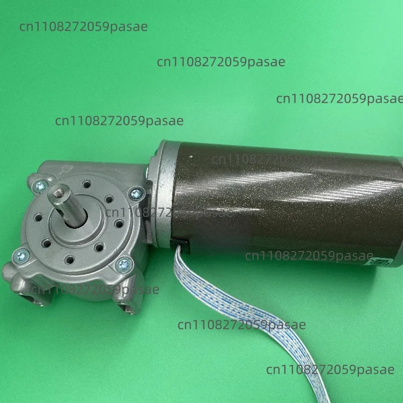 DC Brushless 63ZWN24-100-G/63WJ Motor Automatic Door