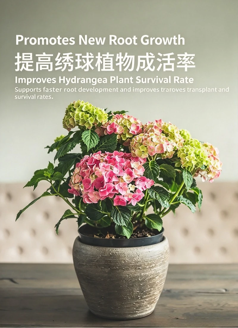 10L Hydrangea Special Nutrient Soil Upgraded Premium Formula Color Adjust Acidic Potting Mix for Hydrangea Big Leaf Garden Kit