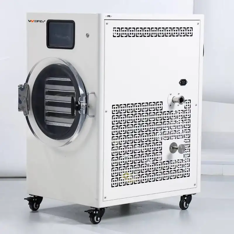 Mini Lyophilizer Hine Vacuum Pet Food Vegetable Fruit Dryer Weight Loss Freeze Dried Candy Powder