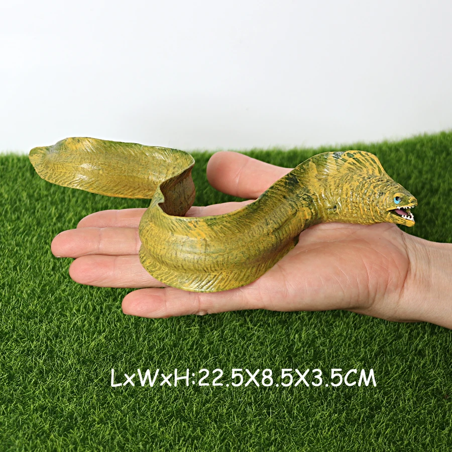 Plastic Fish Model Toys Marine Animals Action Figure Megalodon Piranha Killer Whale Beluga Shark Animal Figurines Children Toy