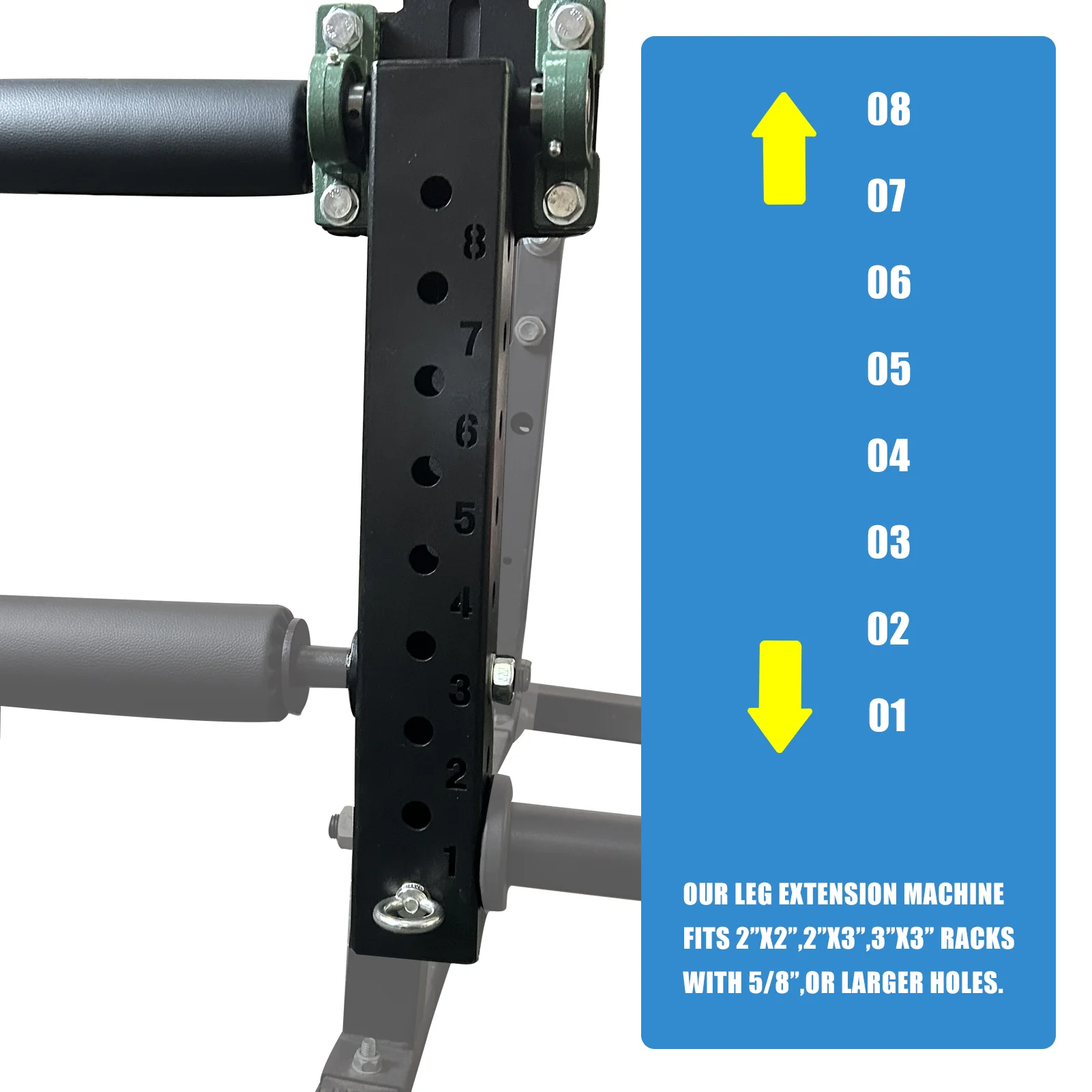 Machine d'extension et de boucles de jambe montée Power T1, équipement de gymnastique à domicile, presse à jambes, accessoire de rêves pour l'entraînement musculaire du bas du corps