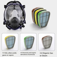 6800Ball type double interface protective silicone full face mask coating spray paint chemical fire mask with pesticide gas mask