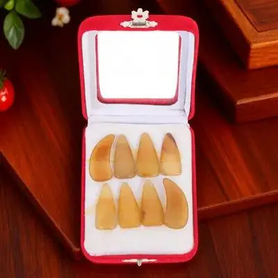 

1 set 1 Set Guzheng Fake Nails Sturdy Finger Protectors For String Instruments Durable Picks Accessories Practice Tools Supplies