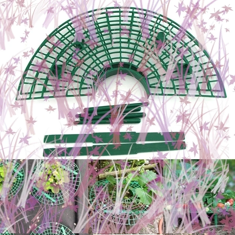 

5 шт., подставка для клубничных растений, рамка-держатель, стойка для посадки на балконе, опора для фруктов, растение, цветок, восхождение, виноградная лоза, садовая подставка