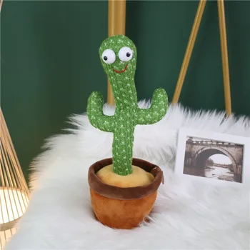 Dancing cactus 1