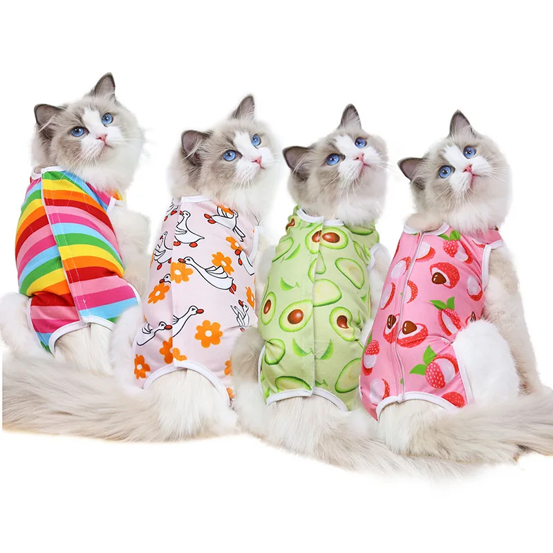 Todo lo que debes saber sobre ropa para gatos femeninos: moda, salud y comodidad