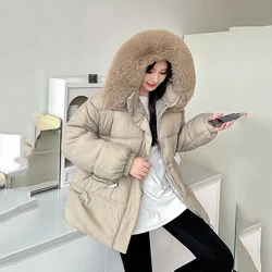 Winter Big Fur Collar Hooded Down Jackets Female Outwear Fur Women Puffer Jacket Parka High-Quality Warm Cotton Padded Down Coat