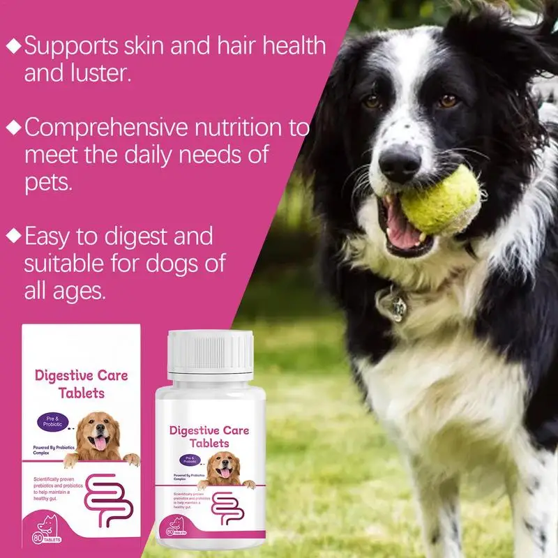 Pet Probiotic Supplement Probiotic Probiotic Tablets Digestive Health Supplement Supplement Tablets Digestive Support Puppy