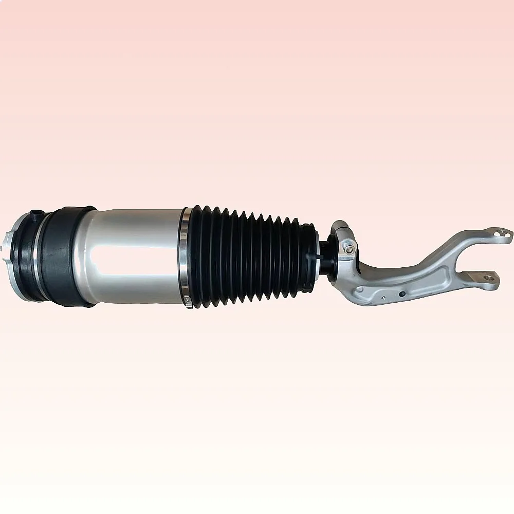 

New Front Suspension Shock Absorber Air Spring Module for Model X 2015-2019
