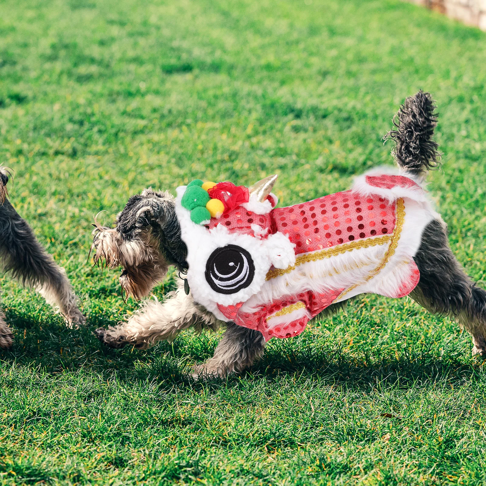 

Dance Lion Premium Polyester Puppy New Year Puppy New Year Clothes Clothes Pet Party Dog Apparel Holiday Outfit