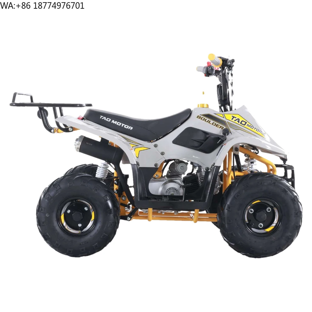 Tao Motor New Design Kids ATVs 110cc ATV for Sale