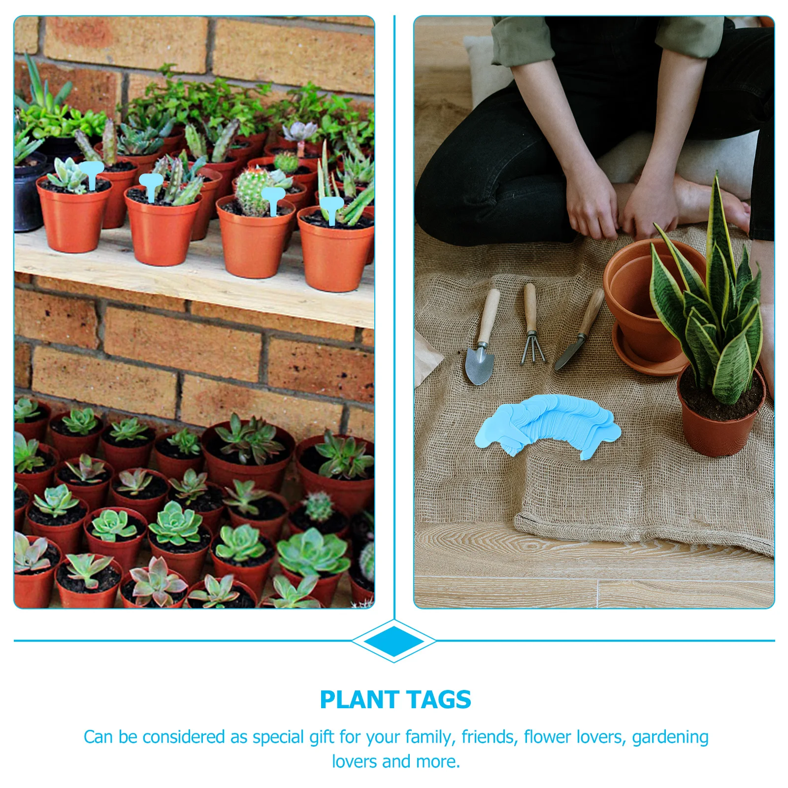 

100 Pcs Plant Sign Identification Garden Markers Signs Outdoor Gardening Labels Plastic Tags