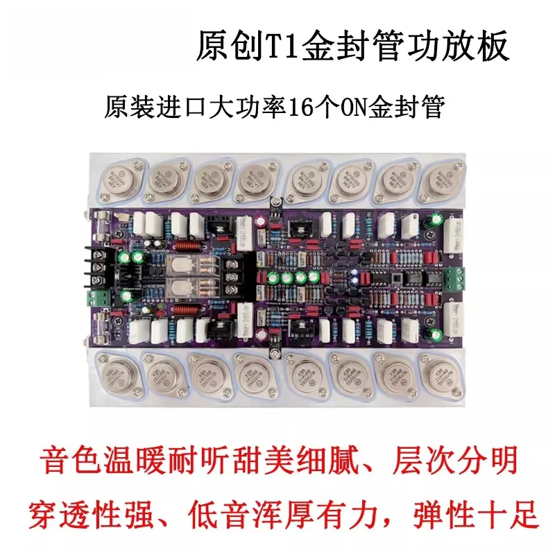 T1 Advanced Version Audiophile HIFI High Fidelity 2.0 Rear Stage High Power Amplifier Board