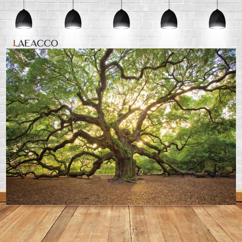 Laeacco Spring Park Meadow Old Tree Background Outdoor Red Maple Leaf Nature Scenery Kids Adult Portrait Photography Backdrop