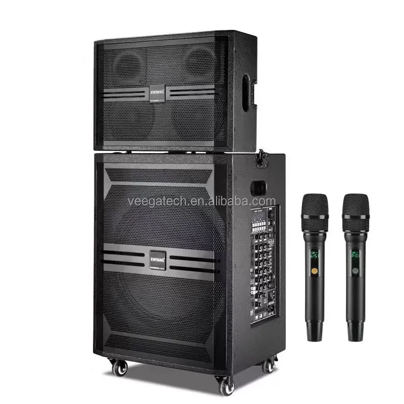 

2025 НОВОЕ ПРИБЫТИЕ, большая мощность, хорошее качество, 18-дюймовый активный линейный массив, уличный динамик, перезаряжаемая батарея 12 В/20 А и два микрофона UHF