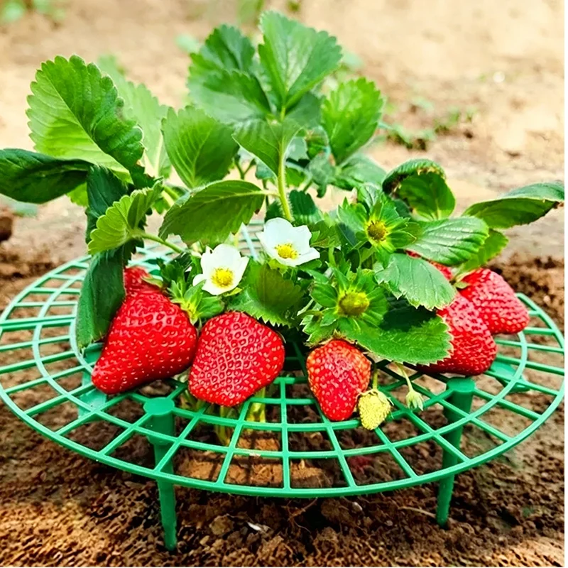 6PCS Strawberry Plant Support Stand - Anti-Lodging Gardening Bracket, Durable Flower Pot Holder for Outdoor Plants