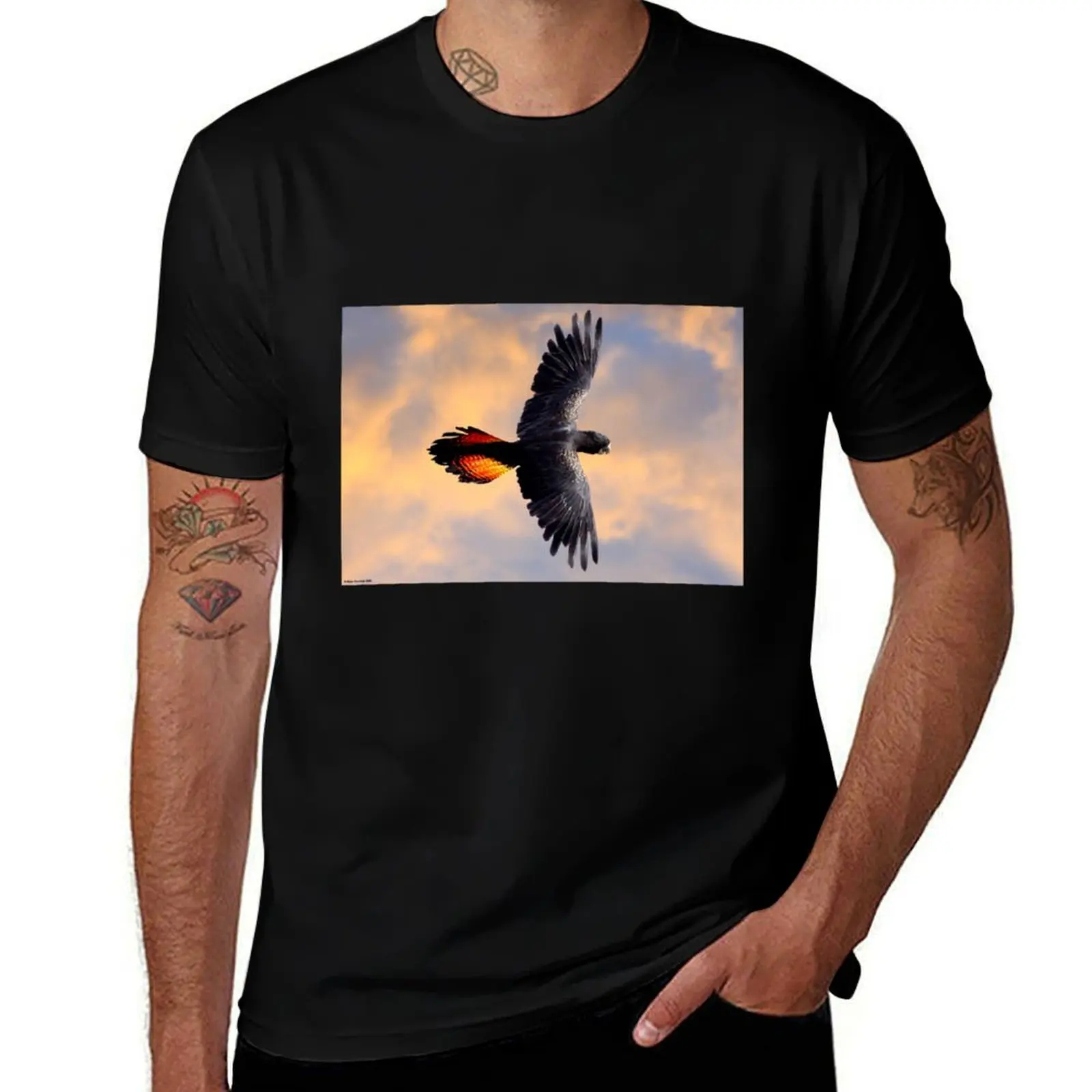 Red Tail Black Cockatoo - Flight T-Shirt Work Short Sleeve Cotton Top T-Shirt