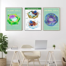 Animal and Plant Cell Biology Posters and Prints Science Educational Wall Art Canvas Painting Pictures Laboratory Office Decor
