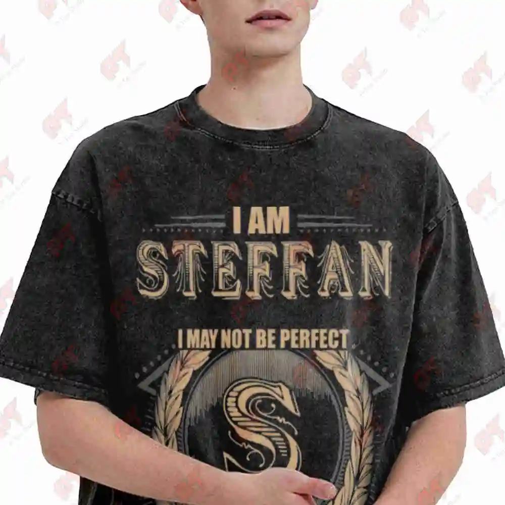 I Am Stefan Laurel Wreath Vintage Washed Tee Pure Cotton T-Shirt