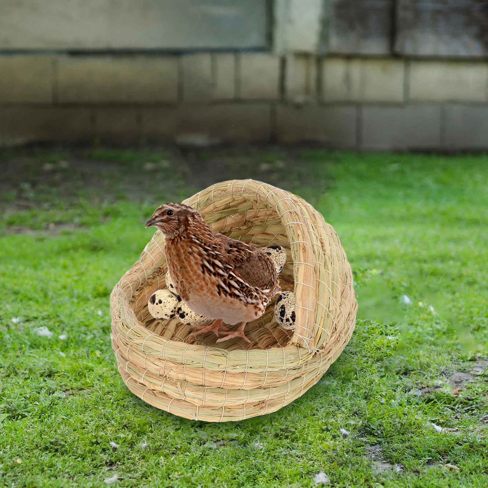 

Chicken Nesting Box Handwoven Straw Bird Breeding Bed Durable Grass For Chickens Rabbits Guinea Pigs Small Animal Shelter