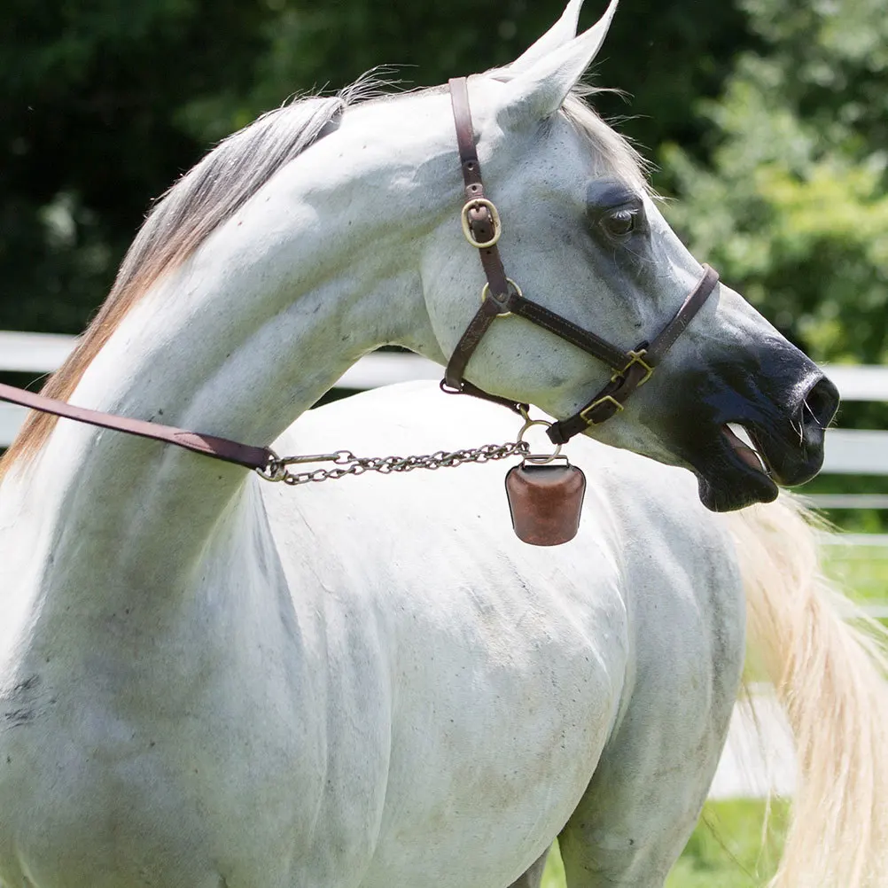 بقرة سميكة للأغنام الماشية دائم في الهواء الطلق جرس الحيوان المعدني بصوت عال الحديد رنين جرس لاستخدام مزرعة الماشية #4