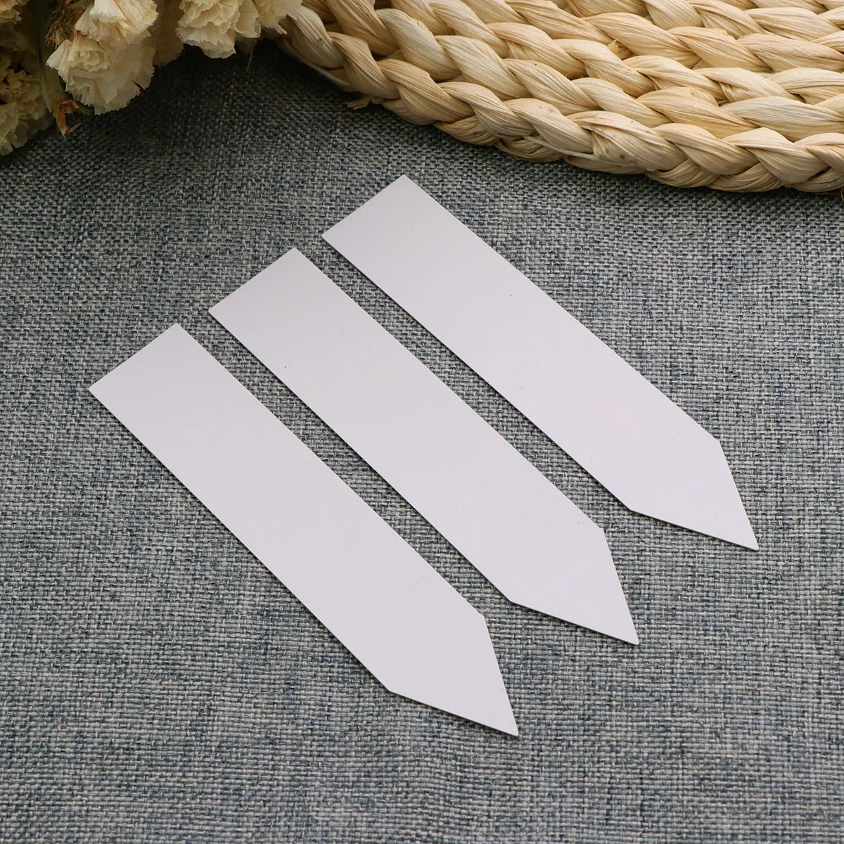Étiquettes pour plantes de jardin, 100 pièces, blanches, 2x10cm, en Pvc, durables, résistantes aux Uv, finition mate, marqueurs en plastique réutilisables pour pépinière et intérieur