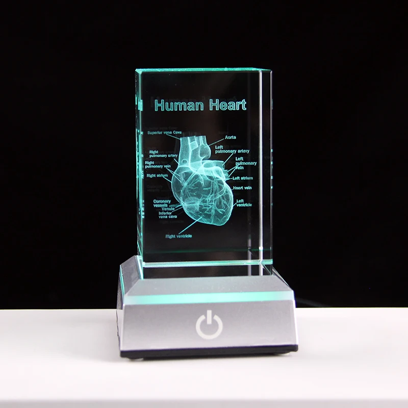 3D Crystal Heart Anatomical Model Gift