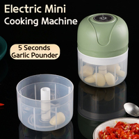 Mini Electric Garlic Chopper 250ML, USB Charging Ginger and Vegetable Cutter, Food Processor Kitchen Tool for Quick Chopping