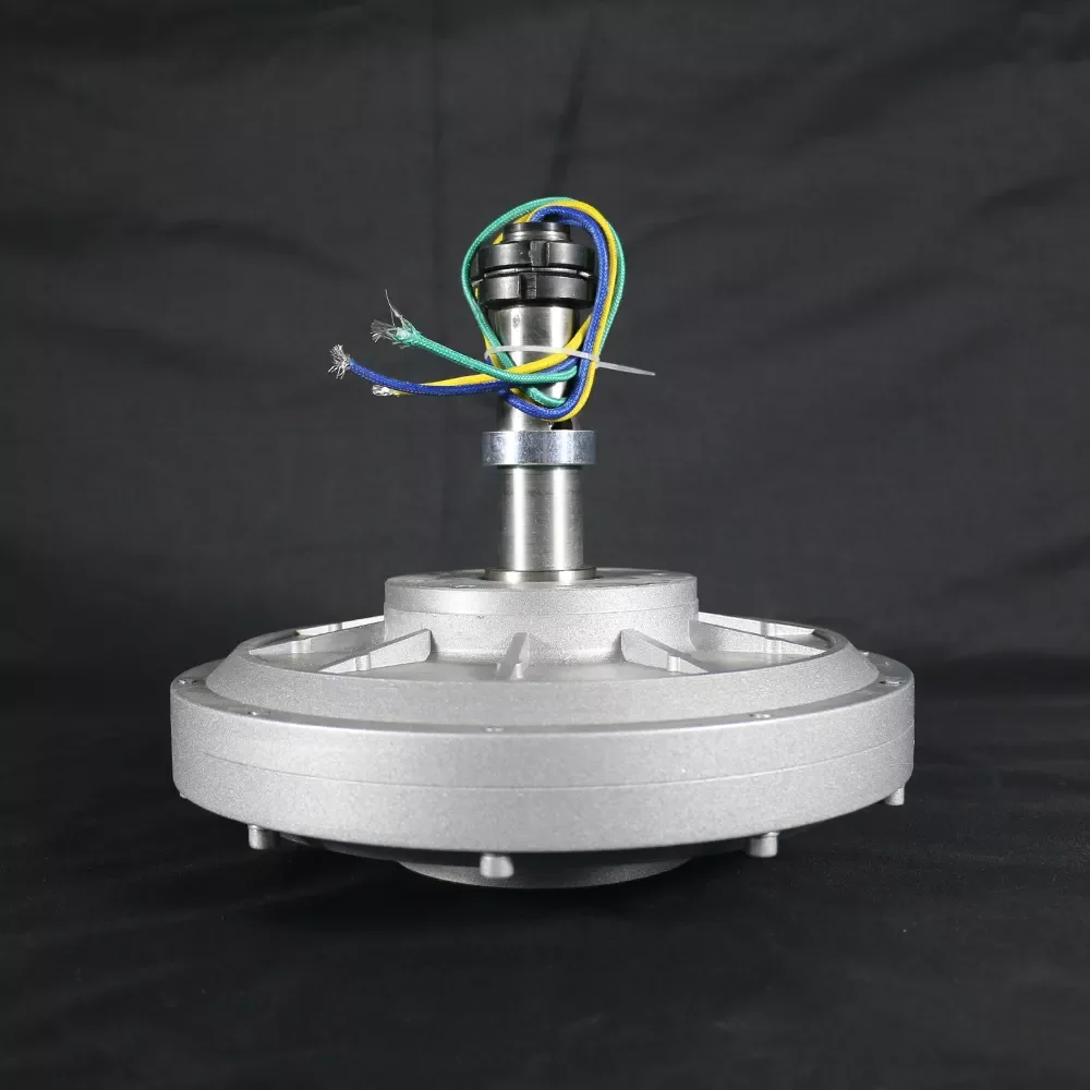 مولد مغناطيسي دائم بدون قلب 2000 وات 12/24 فولت 48 فولت 96 فولت 120 فولت 220 فولت منخفض دورة في الدقيقة 130 دورة في الدقيقة/180 دورة في الدقيقة/250 دورة في الدقيقة/300 دورة في الدقيقة مولد 2000 وات #2